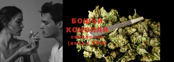 ECSTASY Богданович