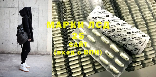 ECSTASY Богданович