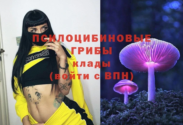 ECSTASY Богданович