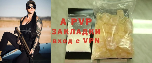 ECSTASY Богданович