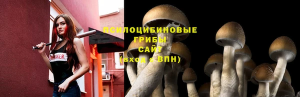 кокаин колумбия Богородицк