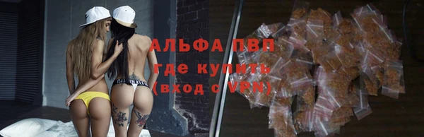 ECSTASY Богданович