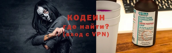 ECSTASY Богданович