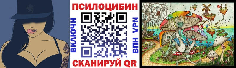 цены   Бор  Псилоцибиновые грибы MAGIC MUSHROOMS 