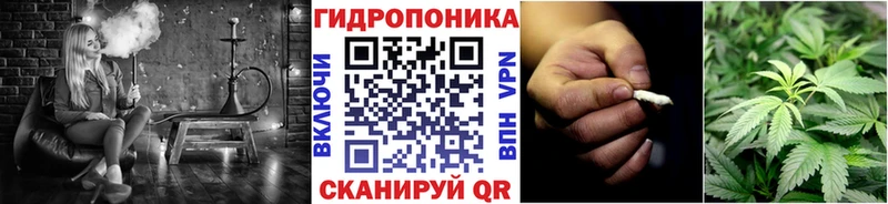 цена Бор Шишки марихуана SATIVA & INDICA